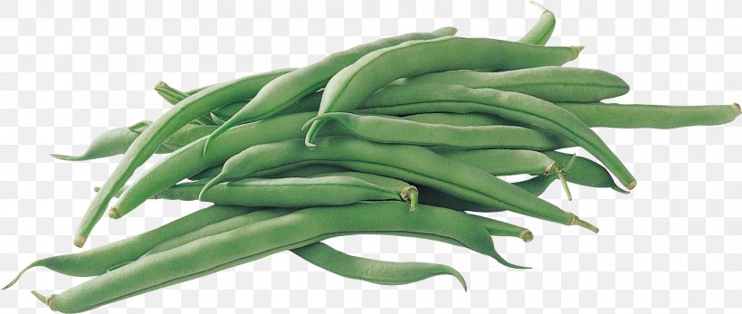 Common Bean Green Bean Pea Legume Vegetable, PNG, 2306x977px, Common Bean, Bean, Commodity, Food, Green Bean Download Free