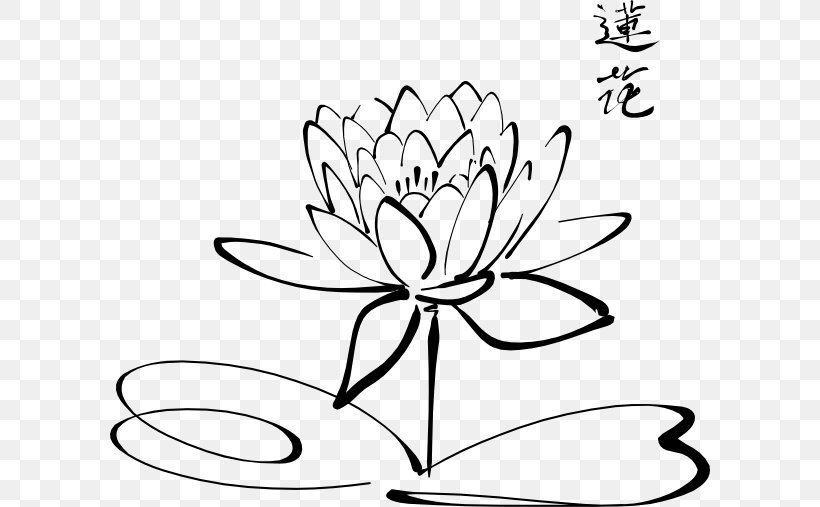 Nelumbo Nucifera Drawing Flower Clip Art, PNG, 600x507px, Nelumbo Nucifera, Area, Art, Artwork, Black Download Free