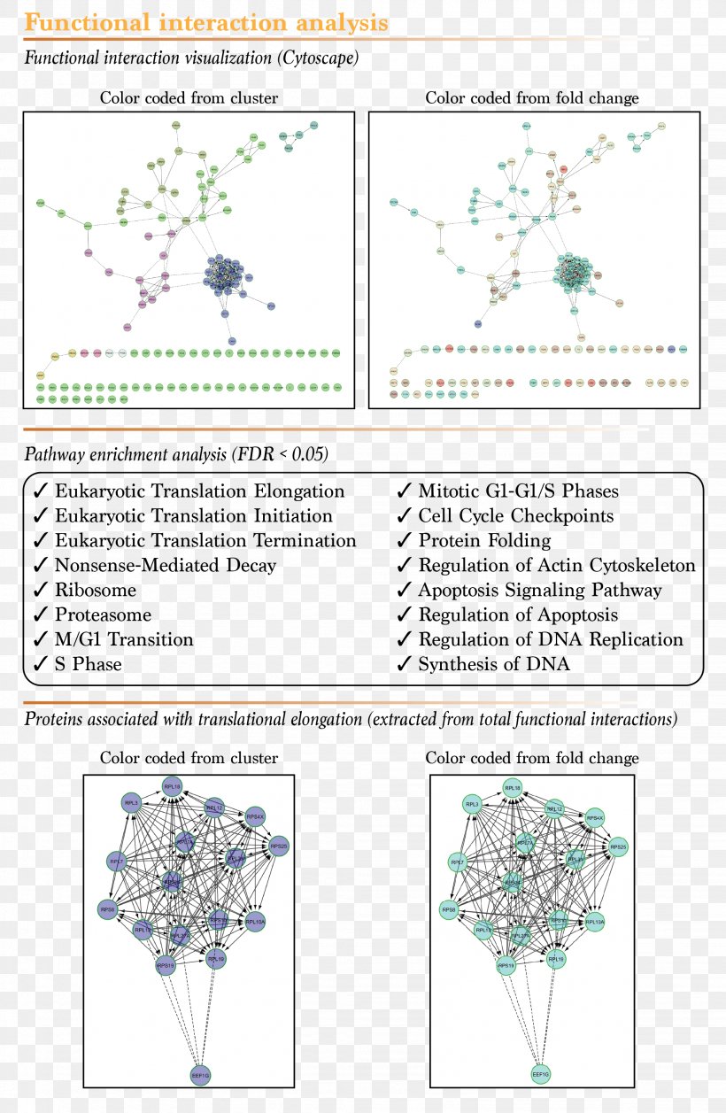 Paper Tree Diagram Line, PNG, 2054x3150px, Paper, Area, Diagram, Lavender, Organism Download Free