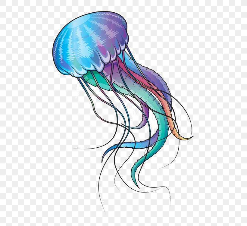 Blue Jellyfish Marine Invertebrates Ocean, PNG, 500x750px, Jellyfish, Art, Blue, Blue Jellyfish, Blue Rose Download Free