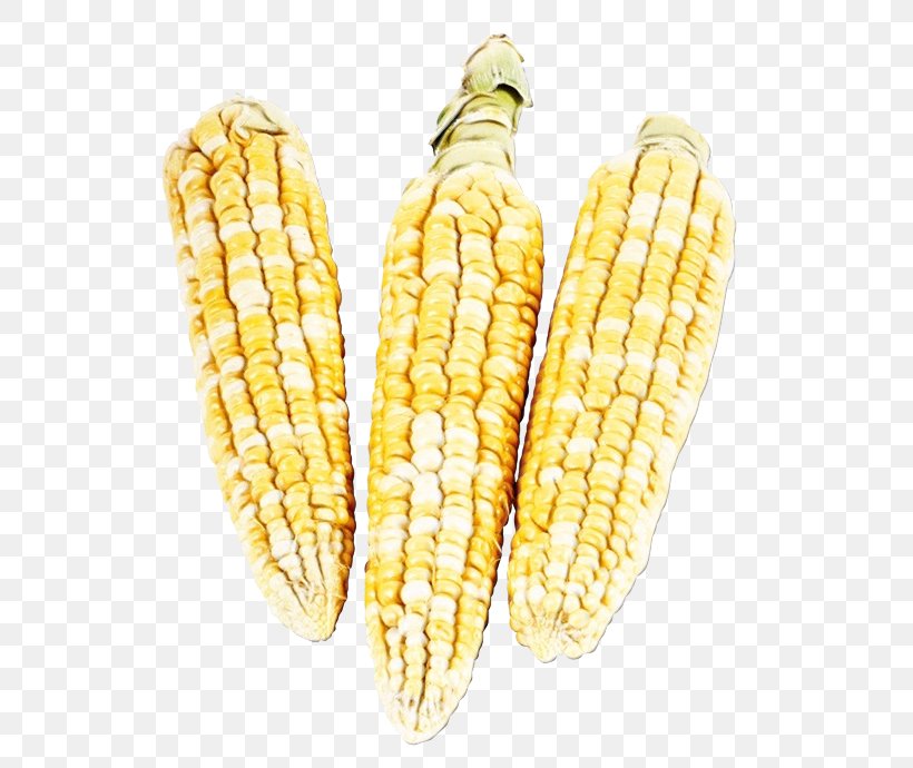 Corn Kernels Corn Corn On The Cob Sweet Corn Corn On The Cob, PNG, 551x690px, Watercolor, Corn, Corn Kernels, Corn On The Cob, Cuisine Download Free