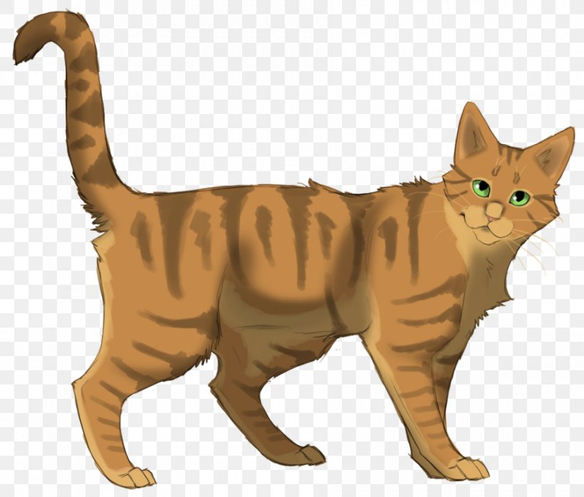Crookedstar's Promise Warriors Erin Hunter, PNG, 900x767px, Crookedstar, American Shorthair, American Wirehair, Animal Figure, Asian Download Free