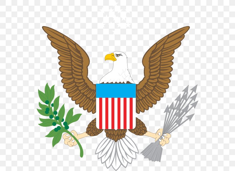Great Seal Of The United States Bald Eagle Coat Of Arms Flag Of The United States, PNG, 564x596px, United States, Bald Eagle, Beak, Bird, Bird Of Prey Download Free