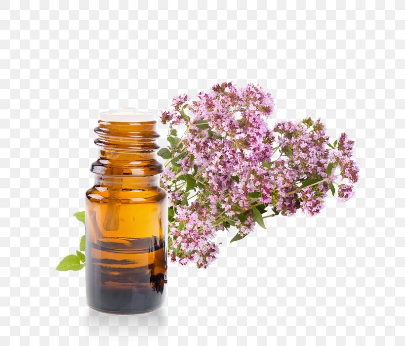 Oregano Marjoram Essential Oil Aromatherapy, PNG, 700x700px, Oregano, Aroma, Aromatherapy, Bottle, Essence Download Free