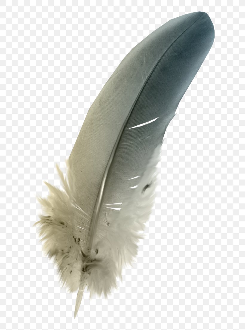 The Floating Feather Quill, PNG, 764x1103px, Floating Feather, Aile, Feather, Grey, Monochrome Photography Download Free
