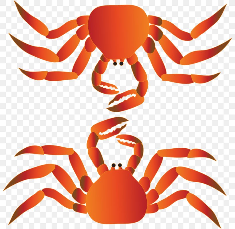 Dungeness Crab Lobster Clip Art, PNG, 800x800px, Dungeness Crab, Artwork, Color, Crab, Crayfish Download Free