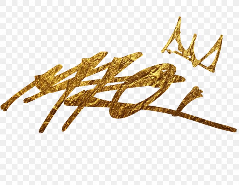 Gold Font, PNG, 1017x786px, Gold, Metal, Twig Download Free