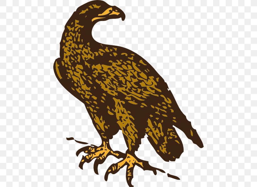 Golden Eagle Clip Art, PNG, 480x597px, Golden Eagle, Bald Eagle, Beak, Bird, Bird Of Prey Download Free