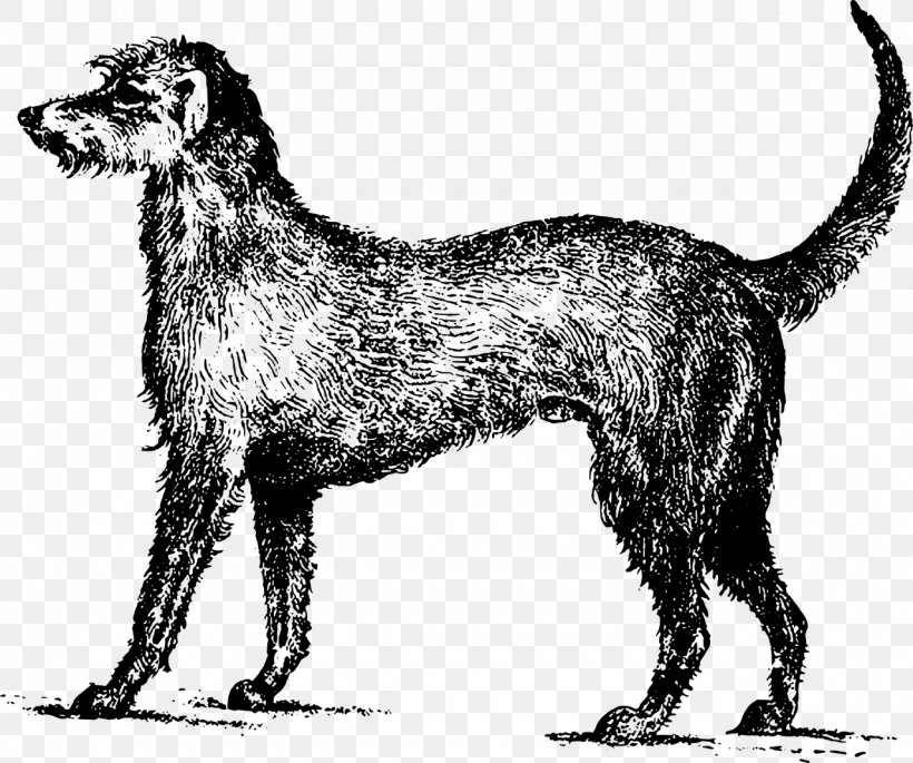 Irish Wolfhound Irish Terrier Ireland Lurcher Clip Art, PNG, 1280x1070px, Irish Wolfhound, Black And White, Breed, Carnivoran, Dog Download Free