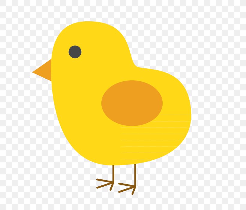Kifaranga Duck Drawing, PNG, 700x700px, Kifaranga, Beak, Bird, Chicken, Chicken Egg Download Free
