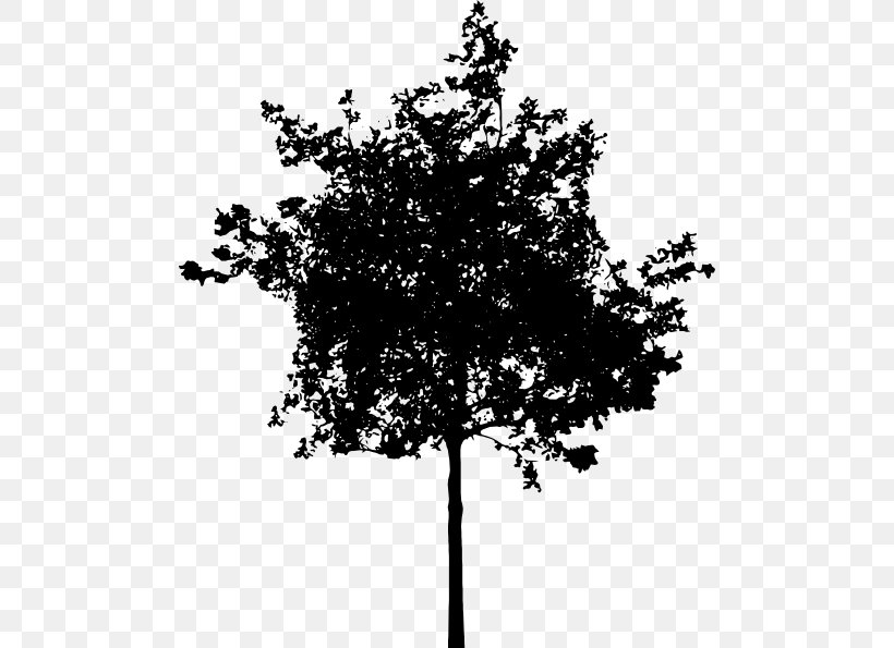 Silhouette Clip Art, PNG, 492x595px, Silhouette, Black And White, Branch, Leaf, Monochrome Download Free