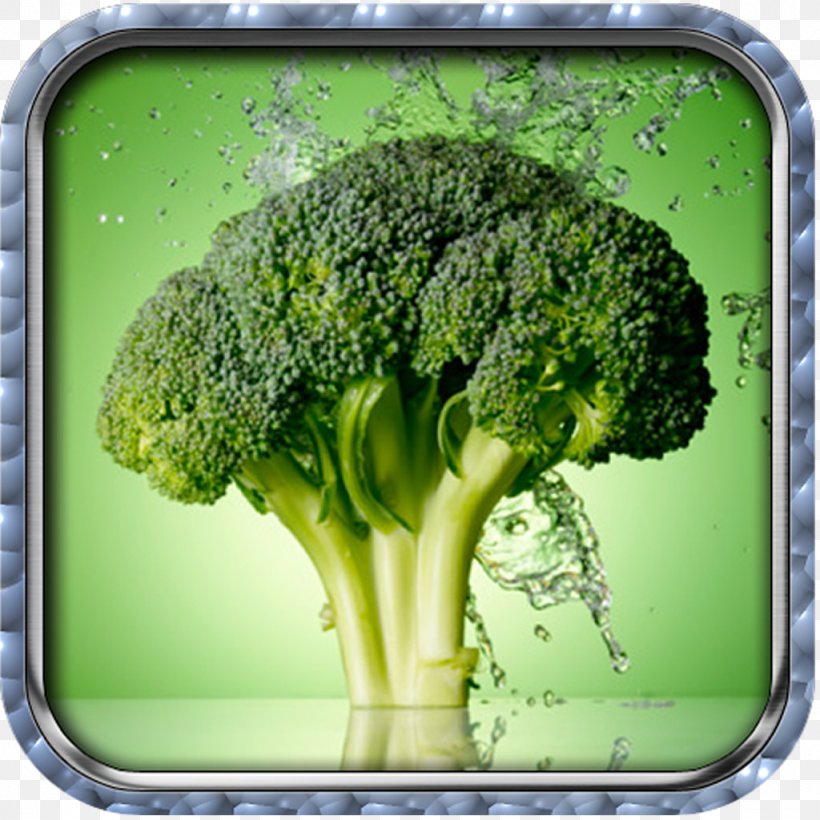 Broccoli Cancer Cruciferous Vegetables Superfood, PNG, 1024x1024px, Broccoli, Cancer, Cauliflower, Cruciferous Vegetables, Disease Download Free