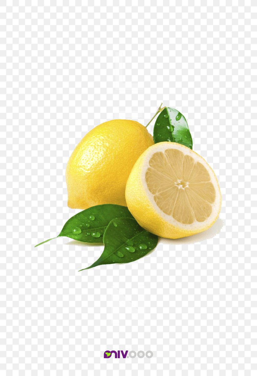 Sweet Lemon Key Lime, PNG, 728x1200px, Lemon, Citric Acid, Citron, Citrus, Food Download Free