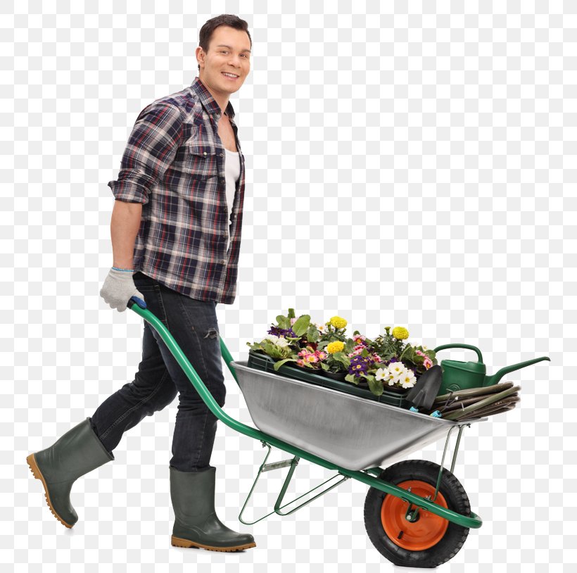 Wheelbarrow Stock Photography, PNG, 800x814px, Wheelbarrow, Alamy, Business, Cart, Flower Download Free