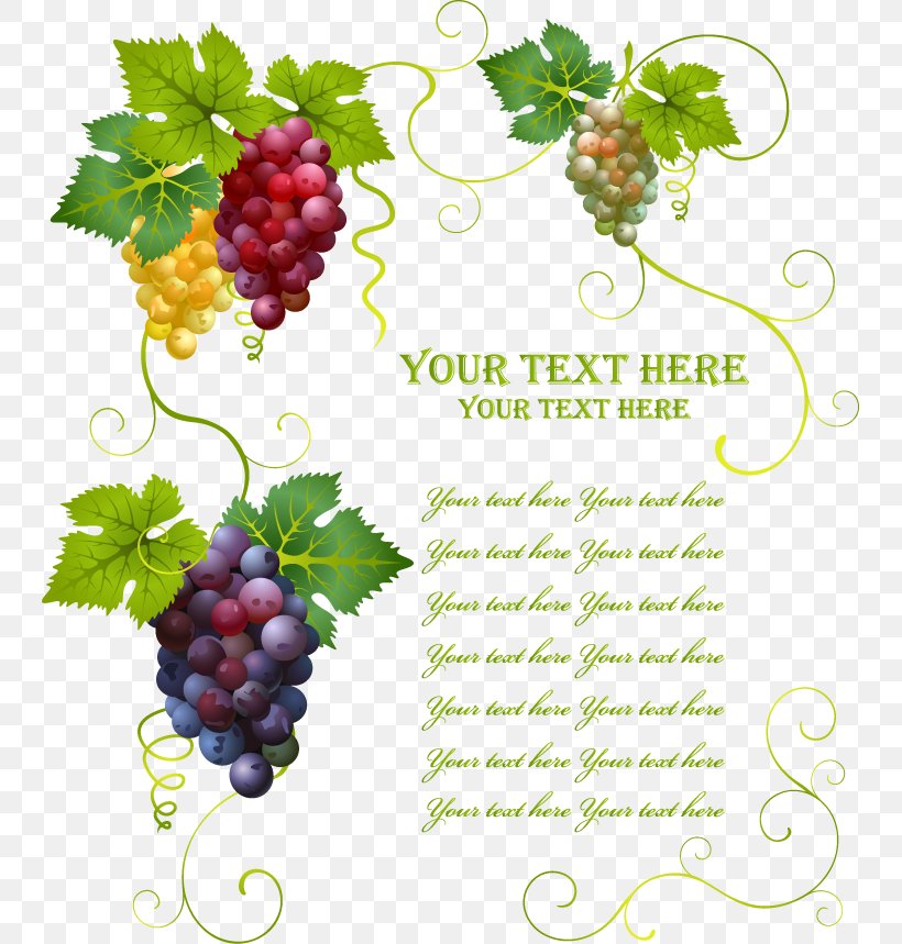 Wine Common Grape Vine Grape Leaves, PNG, 743x859px, Wine, Berry, Common Grape Vine, Flowering Plant, Food Download Free