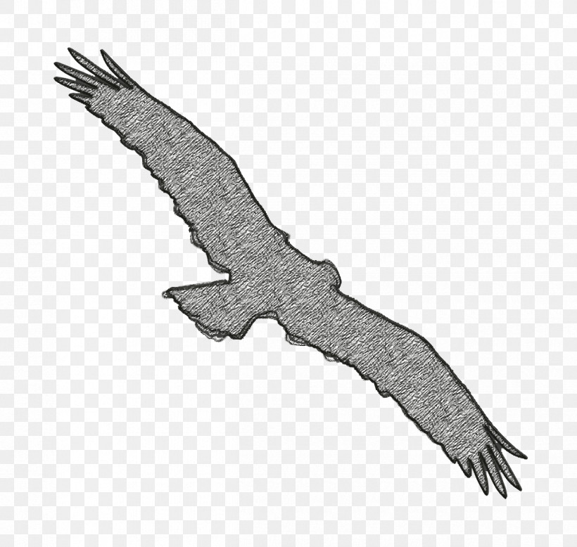 Bird Osprey Shape Icon Bird Icon Animal Kingdom Icon, PNG, 1250x1186px, Bird Icon, Angle, Animal Kingdom Icon, Animals Icon, Bald Eagle Download Free
