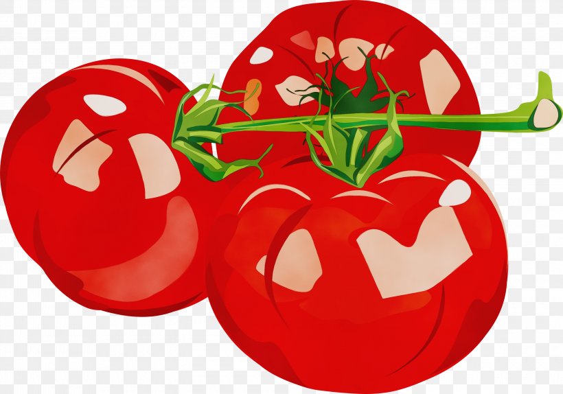 Tomato, PNG, 3000x2103px, Watercolor, Bell Pepper, Bell Peppers And Chili Peppers, Capsicum, Food Download Free