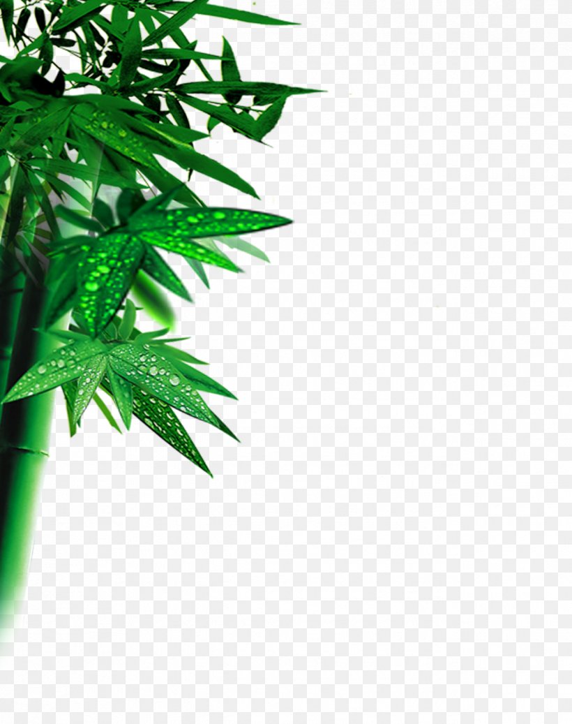 Bamboo Leaf Computer File, PNG, 1273x1611px, Bamboo, Branch, Grass, Green, Hemp Download Free
