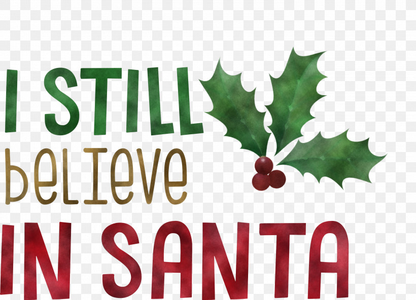 Believe In Santa Santa Christmas, PNG, 3000x2167px, Believe In Santa, Biology, Christmas, Fruit, Leaf Download Free