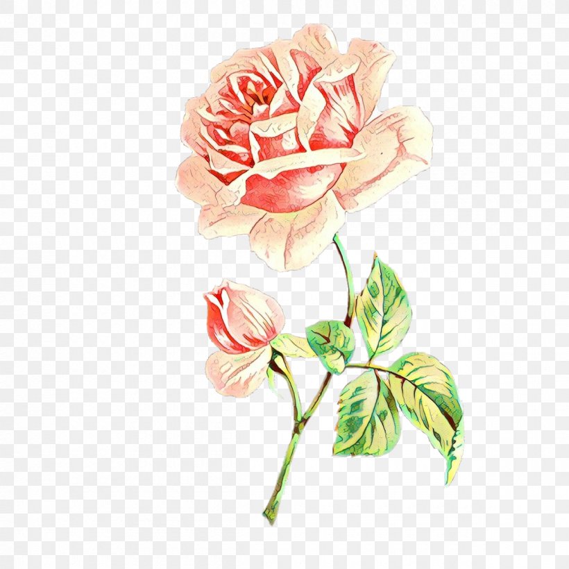 Garden Roses, PNG, 1200x1200px, Cartoon, Cut Flowers, Flower, Flowering Plant, Garden Roses Download Free
