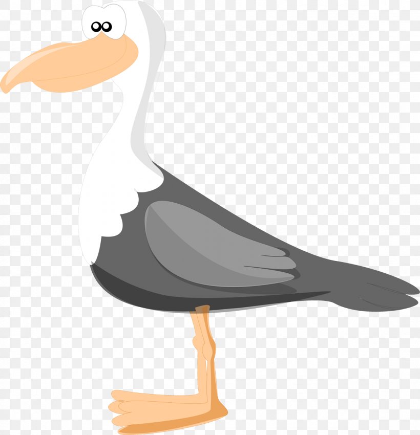 Large White-headed Gulls Bird Duck Drawing, PNG, 1157x1200px, Large Whiteheaded Gulls, Beak, Bird, Cartoon, Charadriiformes Download Free