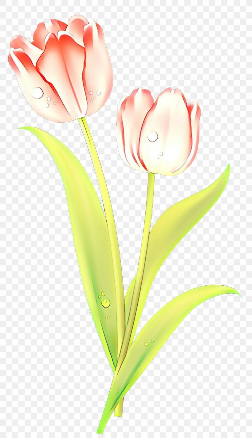 Lily Flower Cartoon, PNG, 1732x3000px, Tulip, Bud, Cut Flowers, Floral Design, Flower Download Free