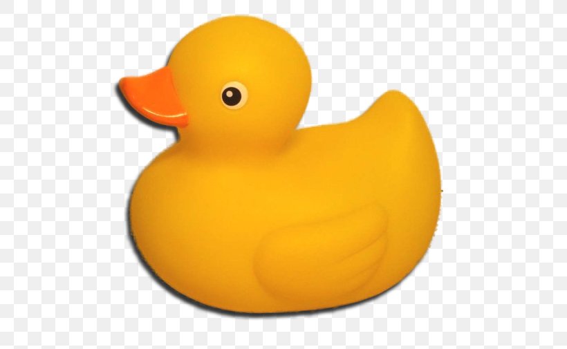 Rubber Duck, PNG, 600x505px, Duck, Agile Software Development, Beak, Bird, Ducks Geese And Swans Download Free