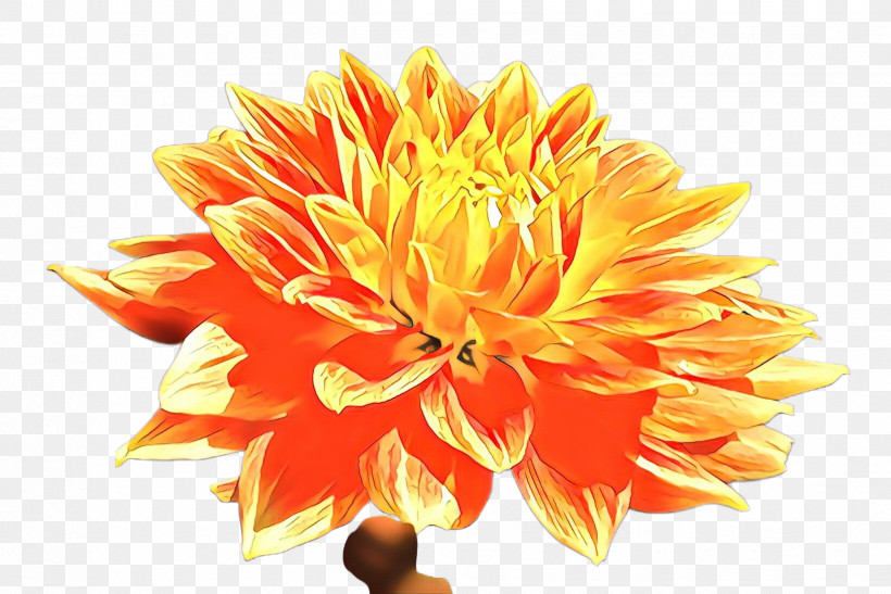 Artificial Flower, PNG, 2448x1635px, Flower, Artificial Flower, Cut Flowers, Dahlia, Daisy Family Download Free