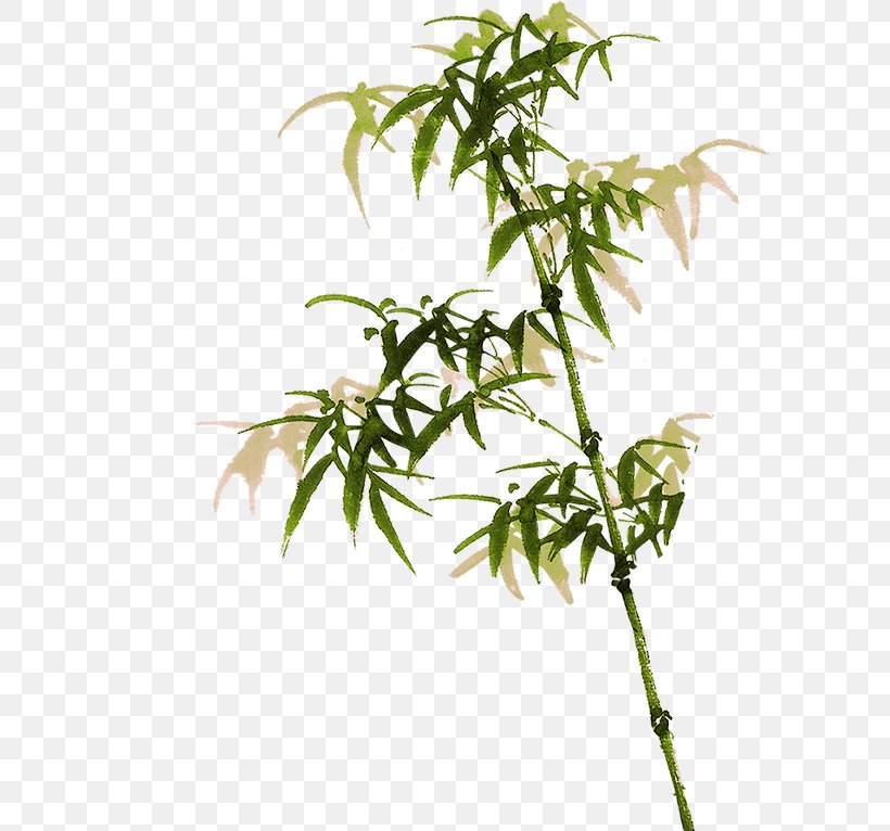 Bamboo Bambusa Oldhamii Clip Art, PNG, 600x766px, Bamboo, Art, Bambusa Oldhamii, Blue, Branch Download Free