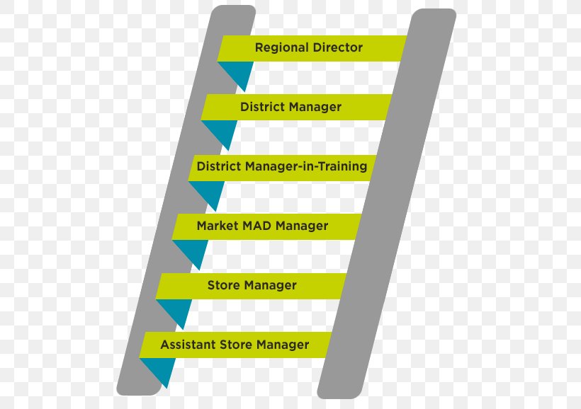 Career Ladder Retail Management Organization, PNG, 506x578px, Career Ladder, Area, Brand, Career, Career Management Download Free