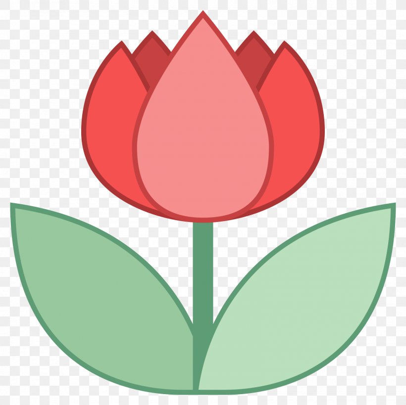 Flowering Plant Tulip Petal Liliaceae, PNG, 1600x1600px, Flowering Plant, Family, Flower, Leaf, Liliaceae Download Free