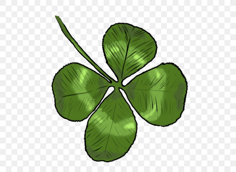 Four-leaf Clover Petal Flower Drawing, PNG, 600x600px, Clover, Drawing, Flower, Flowering Plant, Fourleaf Clover Download Free