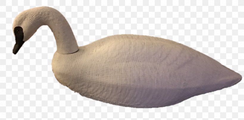 Goose Duck Beak Animal, PNG, 1292x640px, Goose, Animal, Animal Figure, Beak, Bird Download Free