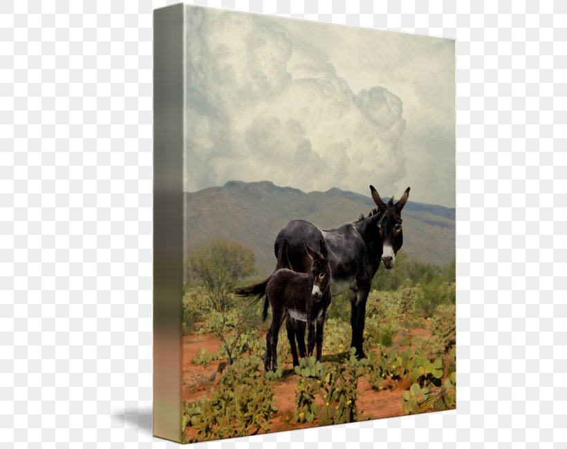 Mule Donkey Horse Burrito Art, PNG, 512x650px, Mule, Animal, Art, Artist, Burrito Download Free