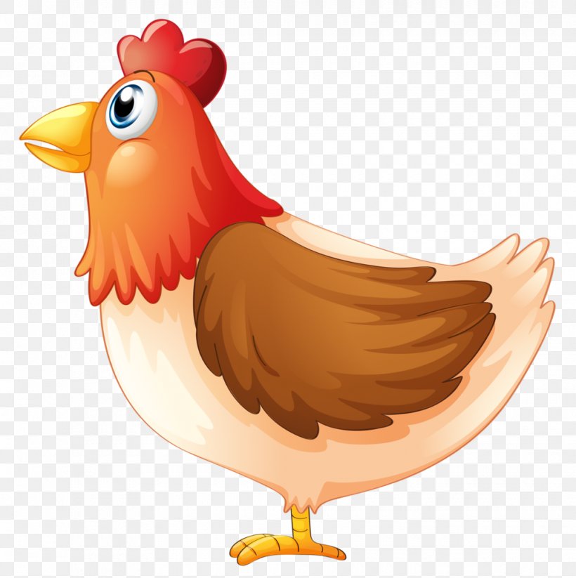 Chicken Cartoon Mother, PNG, 1020x1024px, Chicken, Beak, Bird, Cartoon, Chickens As Pets Download Free