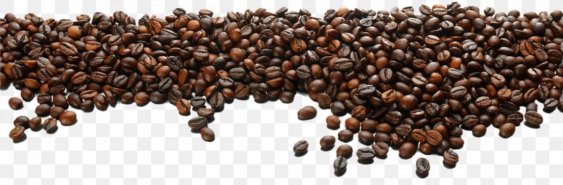Coffee Bean Tea Cafe, PNG, 3063x1012px, Coffee, Arabica Coffee, Bean, Coffea, Coffee Bean Download Free