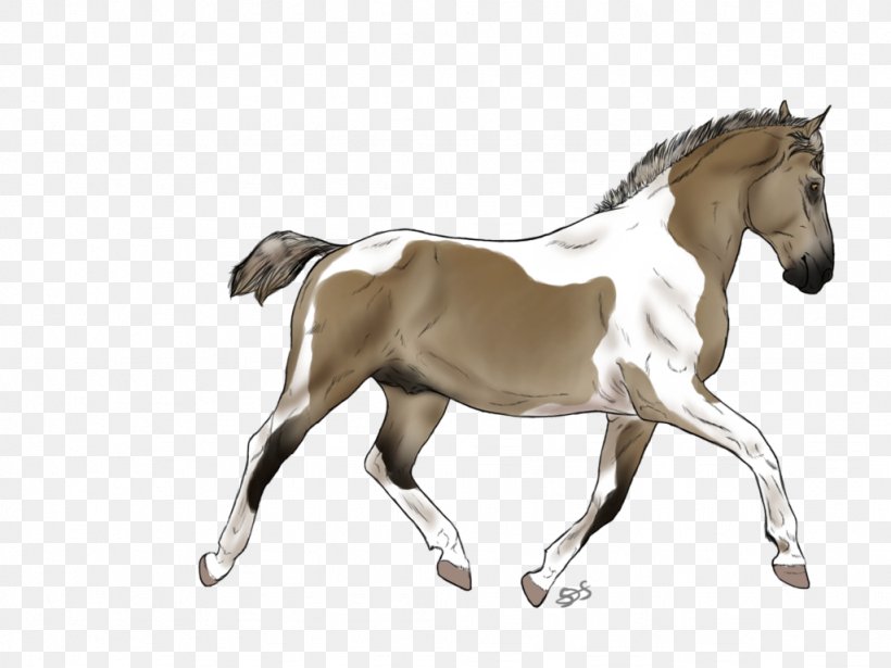 Foal Mare Mustang Stallion Mane, PNG, 1024x768px, Foal, Animal Figure, Bridle, Colt, Halter Download Free
