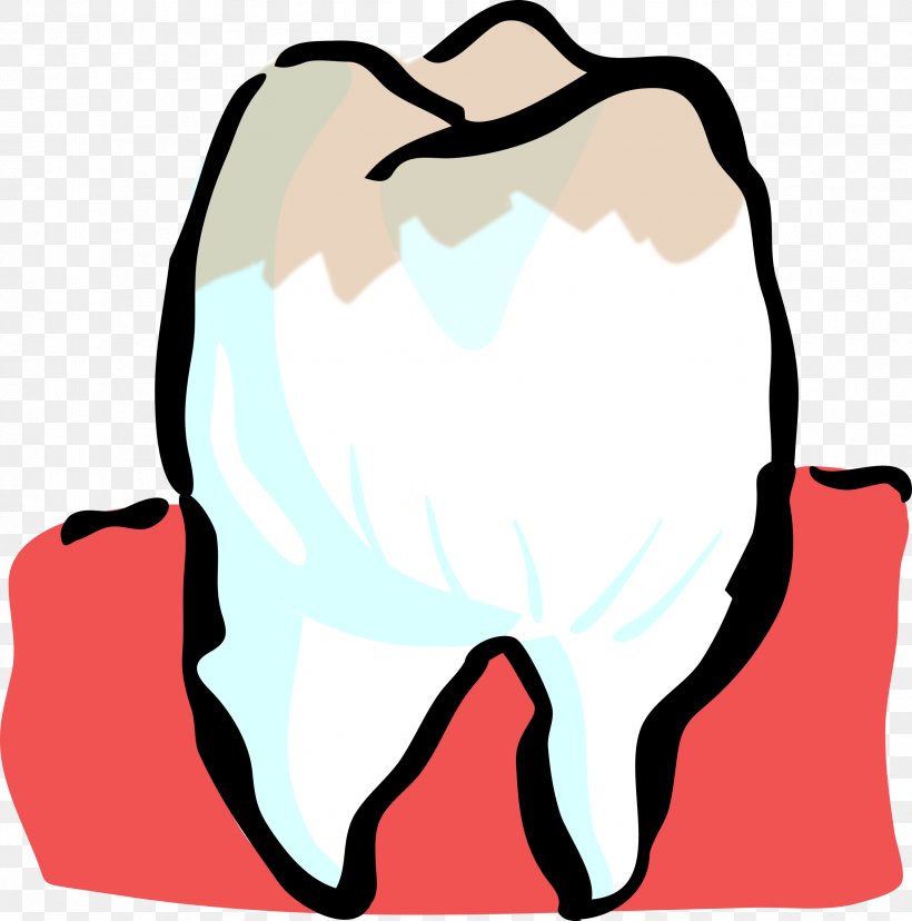 Human Tooth Dentist Clip Art, PNG, 2374x2400px, Watercolor, Cartoon, Flower, Frame, Heart Download Free