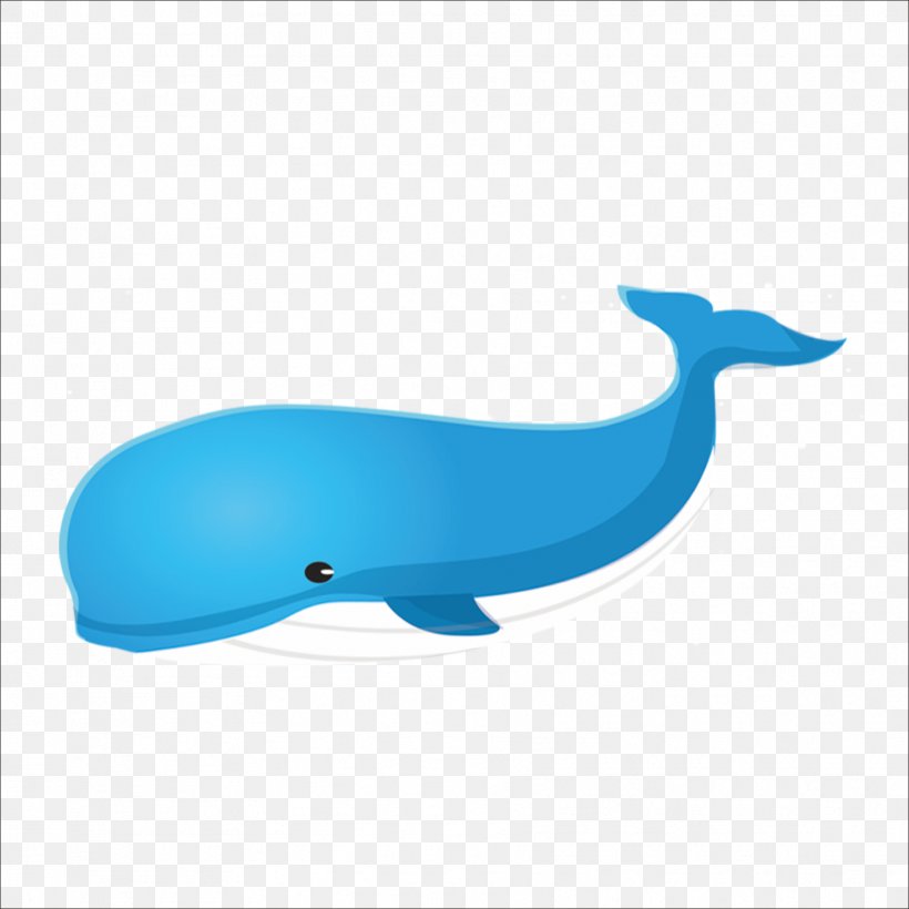 Right Whales Blue Whale, PNG, 1773x1773px, Right Whales, Azure, Baleen Whale, Blue, Blue Whale Download Free