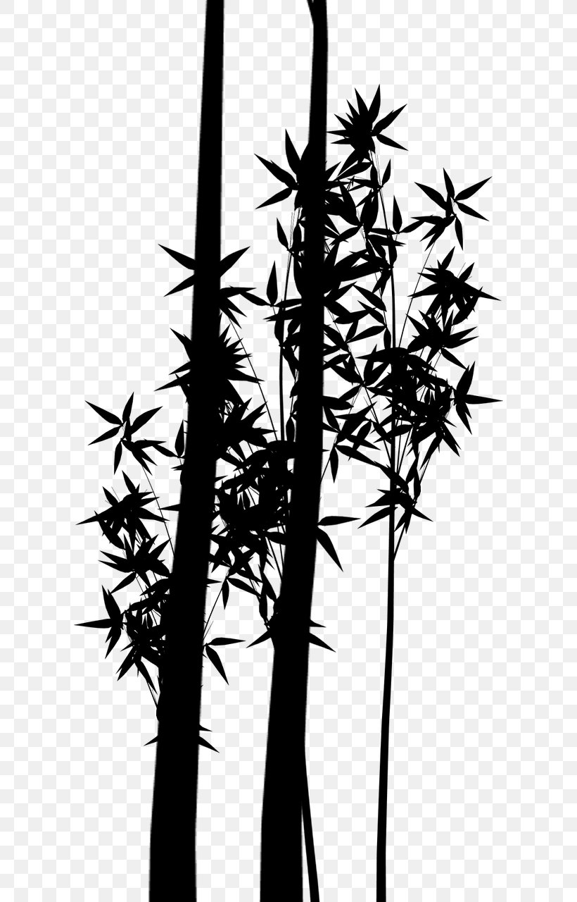 Silhouette Plant Stem Bamboo Branching Plants, PNG, 610x1280px, Silhouette, American Larch, Bamboo, Branch, Branching Download Free