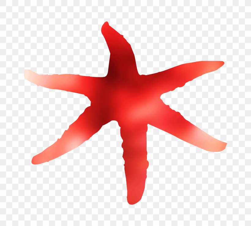 Starfish RED.M, PNG, 2000x1800px, Starfish, Echinoderm, Invertebrate, Marine Invertebrates, Red Download Free