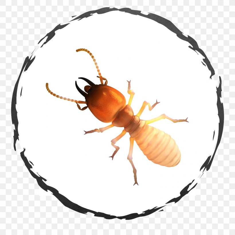Cockroach Insect Termite Pest Control, PNG, 1500x1500px, Cockroach, American Cockroach, Ant, Arthropod, Bed Bug Bite Download Free