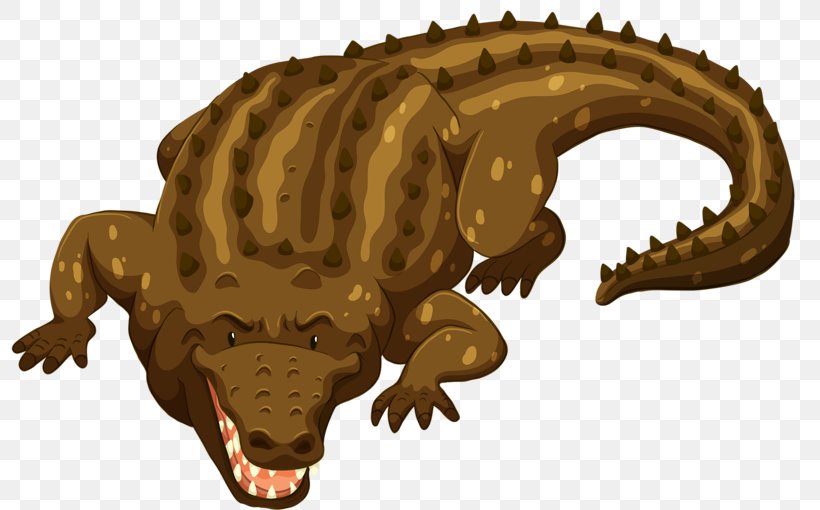 Crocodile Alligator Cartoon Drawing, PNG, 800x510px, Crocodile, Alligator, Animal, Cartoon, Crocodilia Download Free