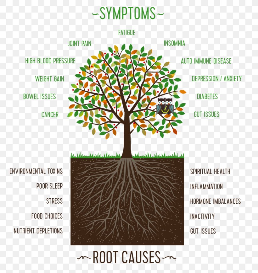 Family Constellations Psychology Root Cause Psychotherapist, PNG, 800x870px, Family Constellations, Book, Branch, Brand, Constellation Download Free