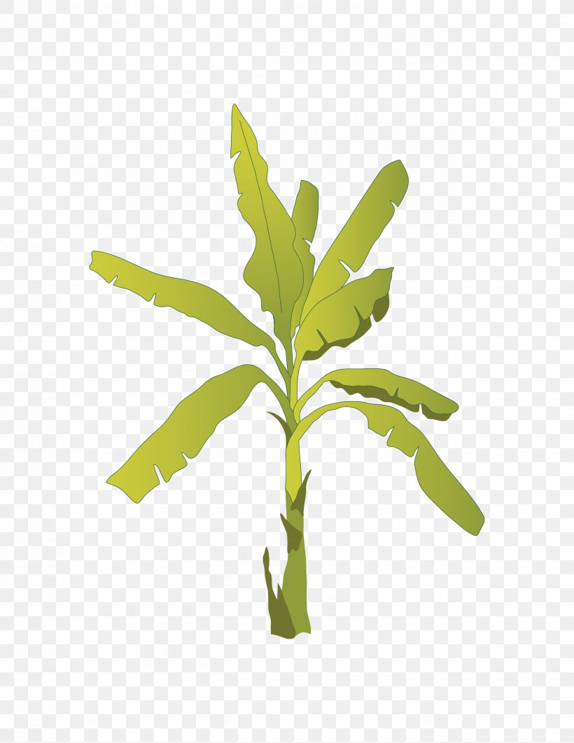 Fruit Tree Banana Image, PNG, 2550x3300px, Fruit, Banana, Branch, Flowerpot, Fruit Tree Download Free