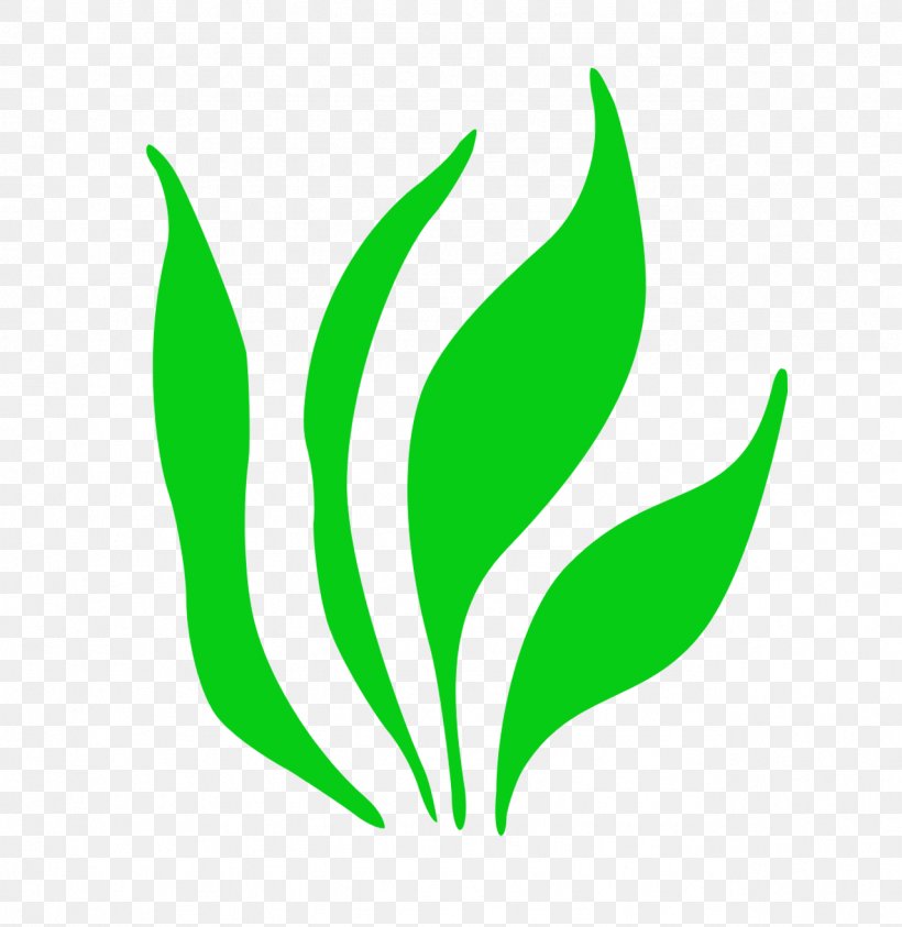 Gellerup Herbaceous Plant Image Clip Art, PNG, 1278x1315px, Gellerup, Botany, Grass, Green, Herbaceous Plant Download Free