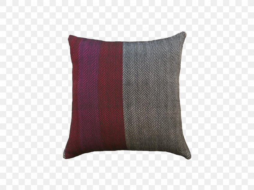 Throw Pillows Cushion Rectangle, PNG, 1560x1172px, Throw Pillows, Cushion, Pillow, Rectangle, Throw Pillow Download Free