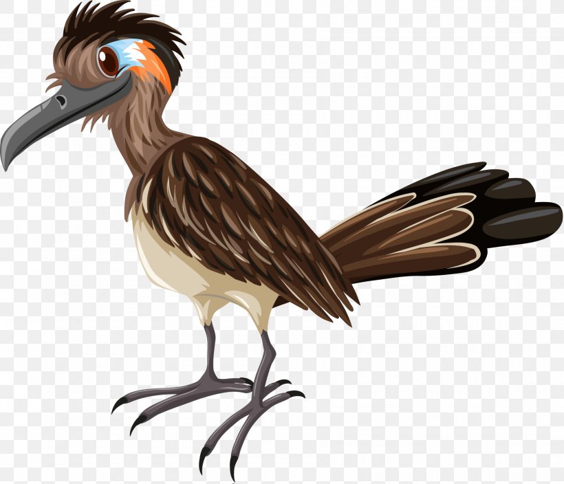 Woodpecker Bird, PNG, 1800x1547px, Woodpecker, Beak, Bird, Bird Of Prey, Coraciiformes Download Free