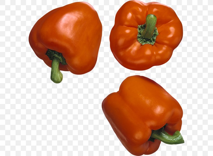 Habanero Tabasco Pepper Cayenne Pepper Friggitello Yellow Pepper, PNG, 600x600px, Habanero, Bell Pepper, Bell Peppers And Chili Peppers, Capsicum, Cayenne Pepper Download Free