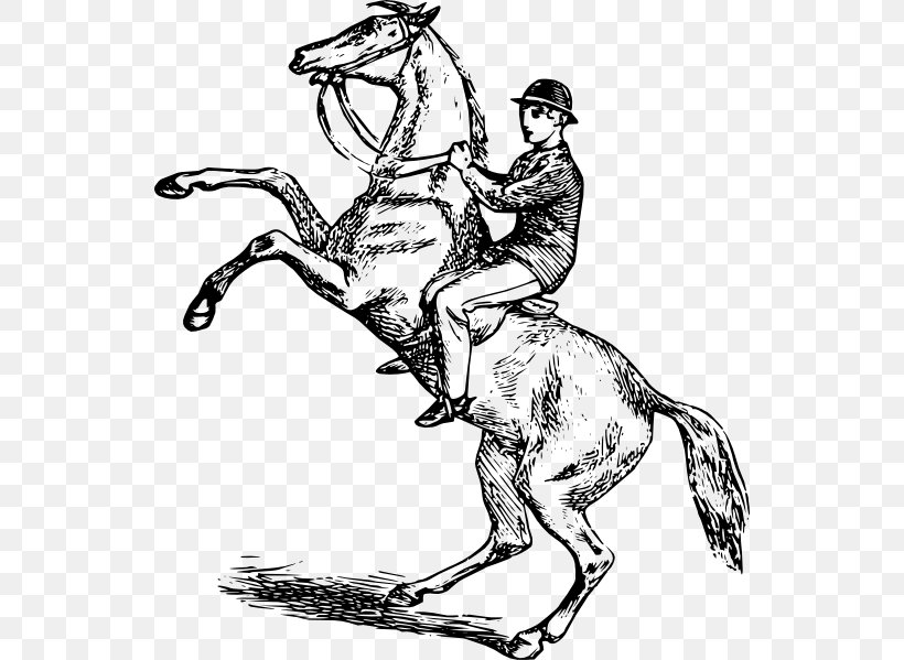Horse Equestrian Rearing Clip Art, PNG, 540x599px, Horse, Art, Artwork, Bit, Black And White Download Free